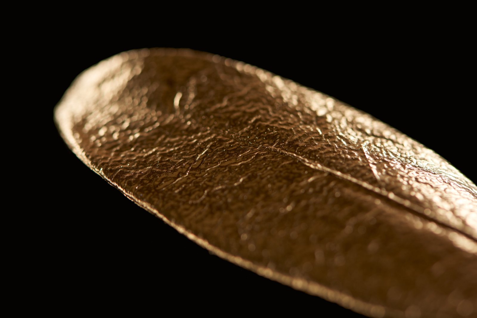 close up of golden textured metal decorative leaf isolated on black